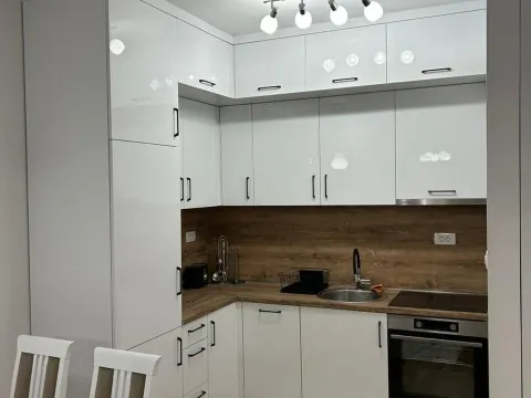 Izdavanje, jednosoban stan, 43m², Zabjelo, Podgorica - image 6