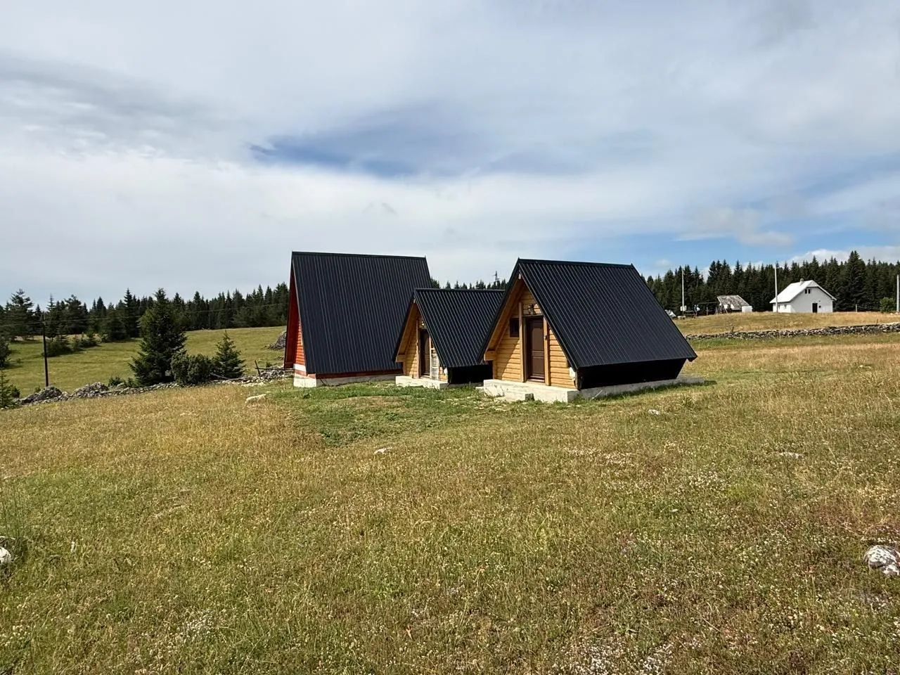 Drvene vikendice sa crnim krovovima okružene livadom i šumom.