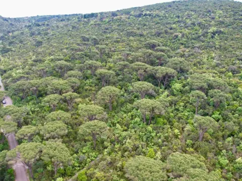 Sale, land lot, 5218m², Herceg Novi, Crna Gora - image 6