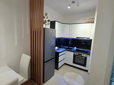 Rent, one bedroom apartment, 42m², Stari Aerodrom, Podgorica - image 4