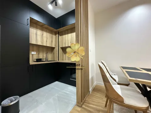 Izdavanje, jednosoban stan, 40m², Central Point, Podgorica - image 6