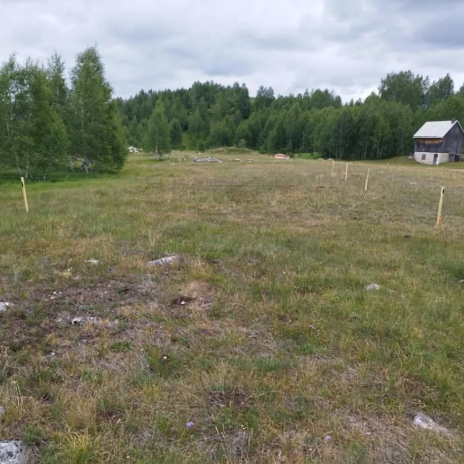 Prodaja, plac, 595m², Tepačko polje, Žabljak