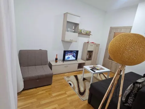 Rent, studio apartment, 27m², Ljubović, Podgorica - image 8