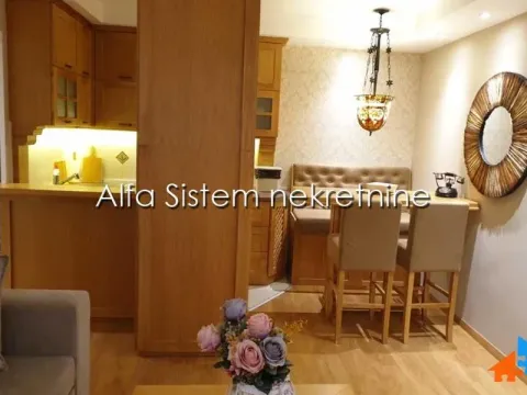 Izdavanje, dvosoban stan, 55m², Vračar Hram, Vračar Sve Podlokacije - image 7