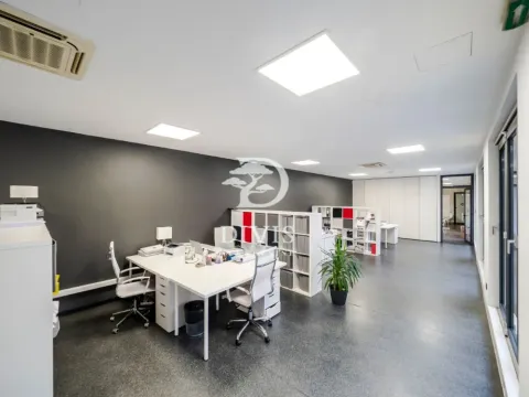 Rent, office space, 303m², Donji Dorćol, Dorćol Sve Podlokacije - image 3