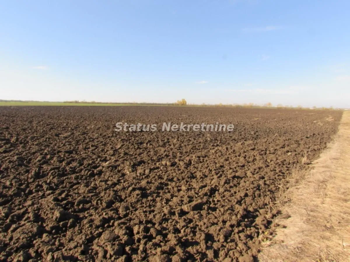 Prodaja, plac, 604m², Sremska Mitrovica, Srbija