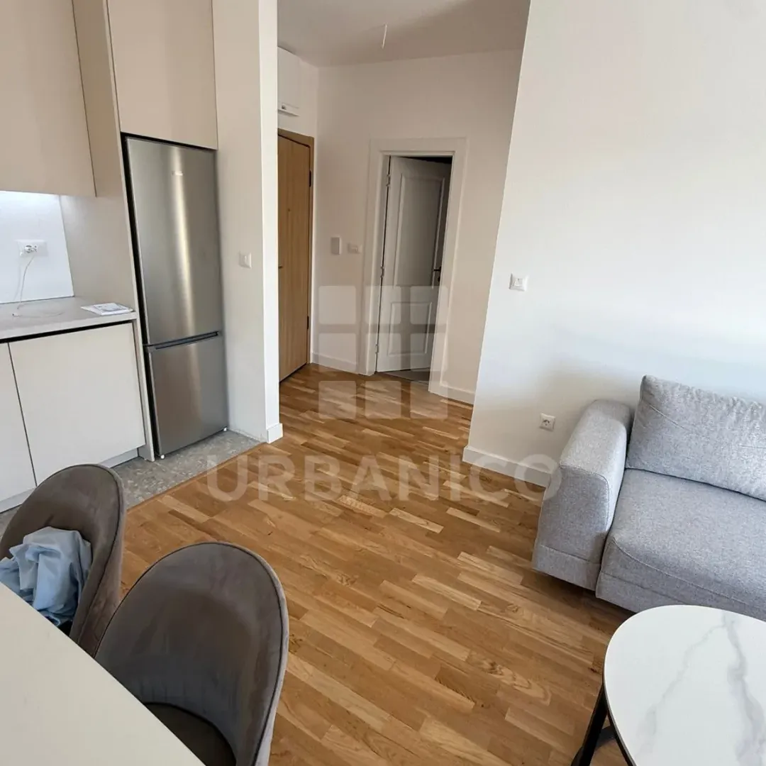 Rent, one bedroom apartment, 45m², Zagorič, Podgorica