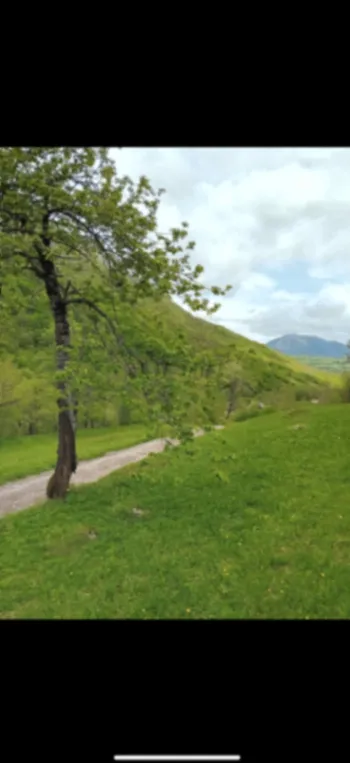 Prodaja, plac, 5000m², Mojkovac, Crna Gora