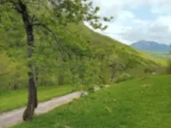 Prodaja, plac, 5000m², Mojkovac, Crna Gora - image 2