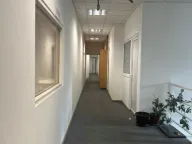 Izdavanje, poslovni prostor, 259m², Tošin bunar, Novi Beograd Sve Podlokacije - image 8