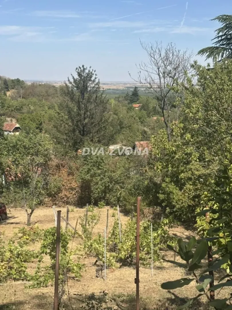 Pogled na okolnu prirodu i zelenilo sa imanja.