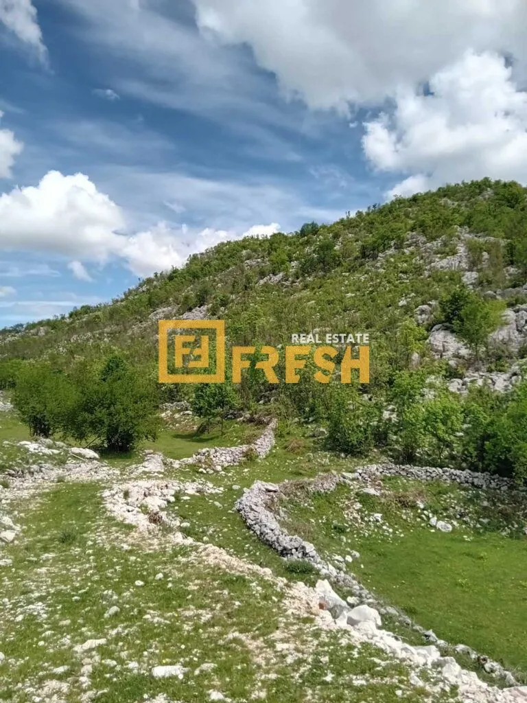 Prodaja, plac, 49212m², Cetinje, Crna Gora