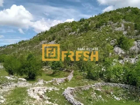 Prodaja, plac, 49212m², Cetinje, Crna Gora - image 6