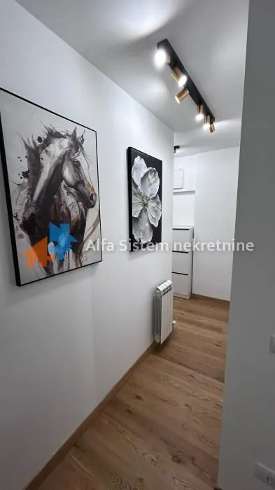 Izdavanje, dvosoban stan, 45m², Voždovac Sve Podlokacije, Beograd