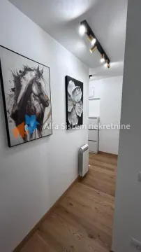 Izdavanje, dvosoban stan, 45m², Voždovac Sve Podlokacije, Beograd - image 13