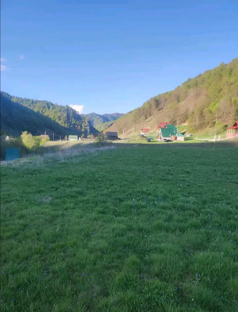 Pogled na zelenu livadu i okolne planine sa kućama u pozadini.