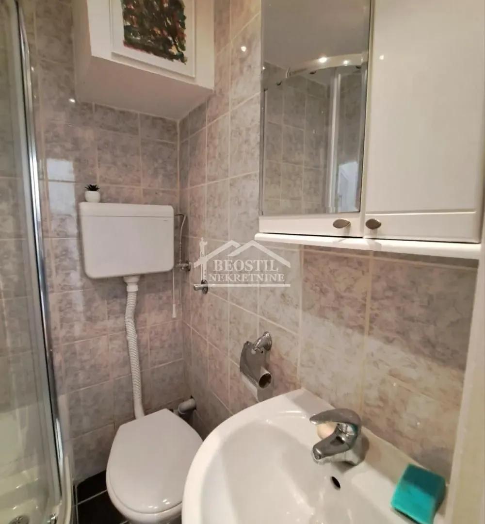 Izdavanje, stan, 20m², Karaburma, Palilula Sve Podlokacije