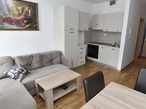Rent, one bedroom apartment, 45m², Gospoština, Budva - image 7