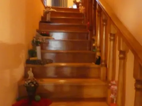 Prodaja, kuća, 380m², Pivara, Jagodina - image 75