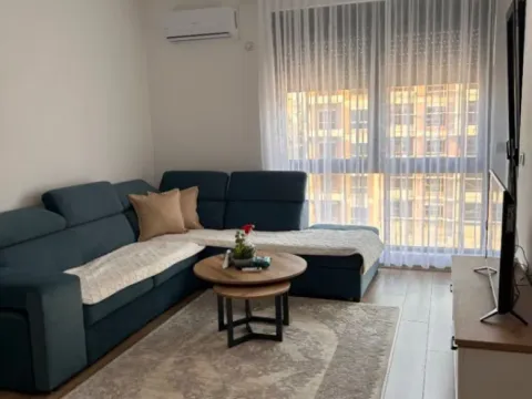 Izdavanje, jednosoban stan, 45m², Ulcinjsko Polje, Ulcinj - image 8