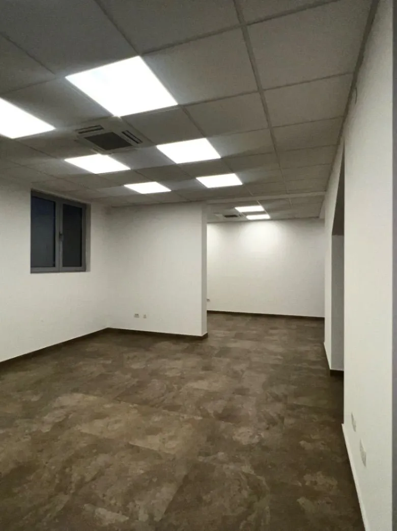 Rent, office space, 251m², Tološka šuma, Podgorica