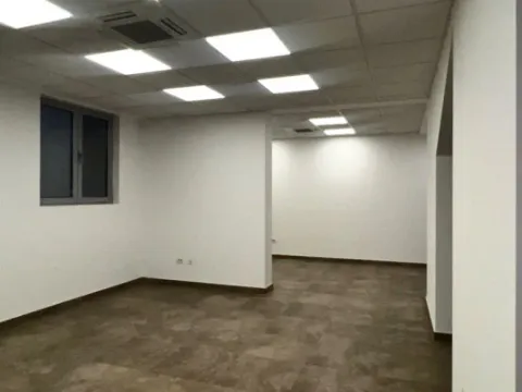 Rent, office space, 251m², Tološka šuma, Podgorica - image 4