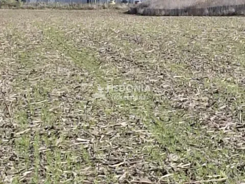 Sale, land lot, 3120m², Novi Beograd Sve Podlokacije, Beograd - image 3