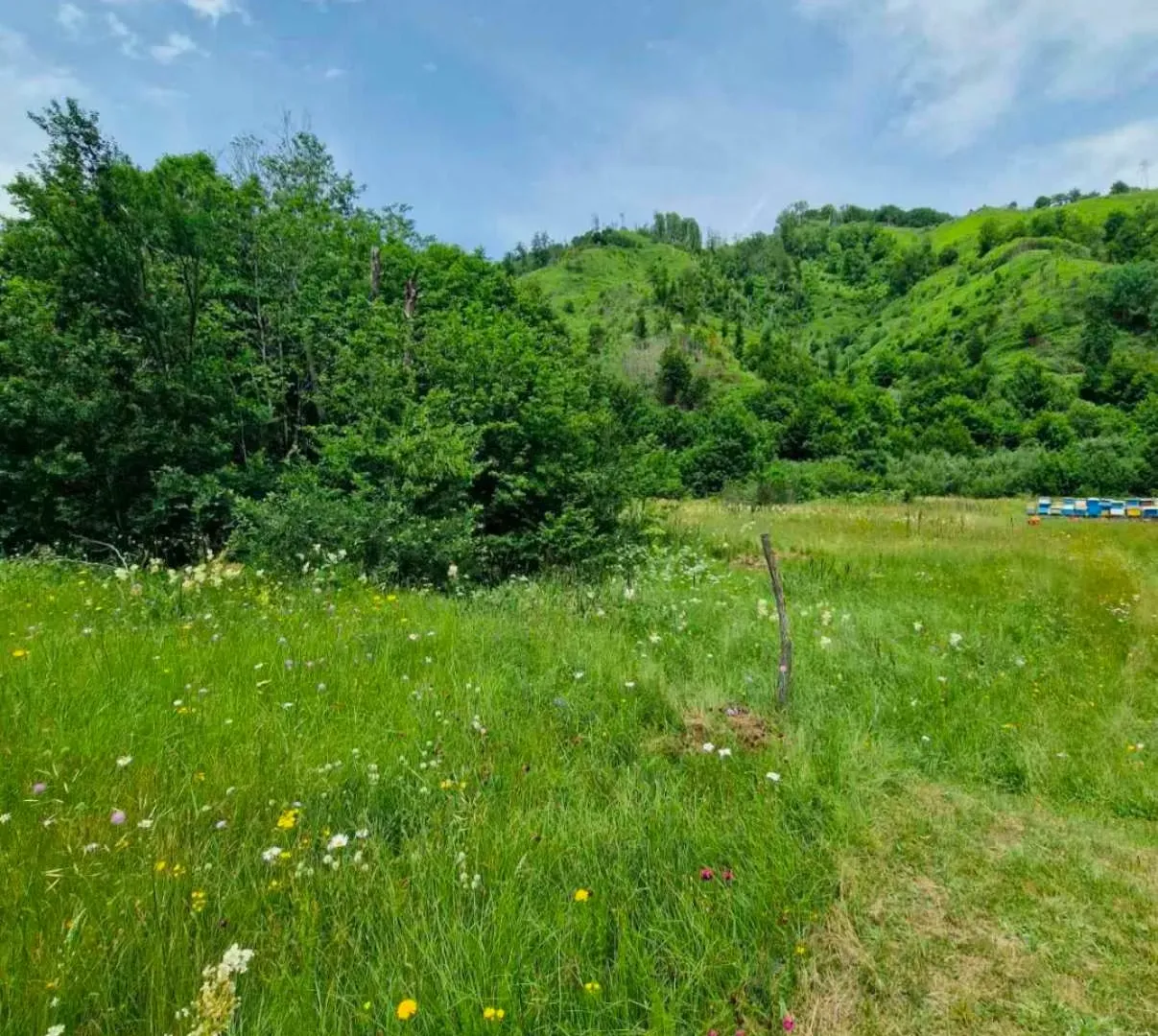 Prodaja, plac, 4300m², Veruša, Podgorica
