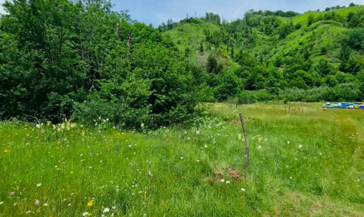 Prodaja, plac, 4300m², Veruša, Podgorica