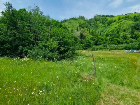 Prodaja, plac, 4300m², Veruša, Podgorica - image 1