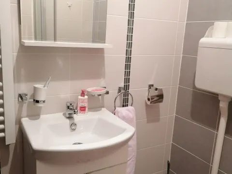 Izdavanje, jednosoban stan, 27m², Centar, Novi Sad - image 2