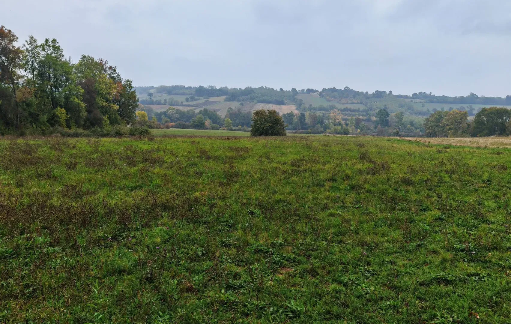 Sale, land lot, 33900m², Velika Ivanča, Mladenovac