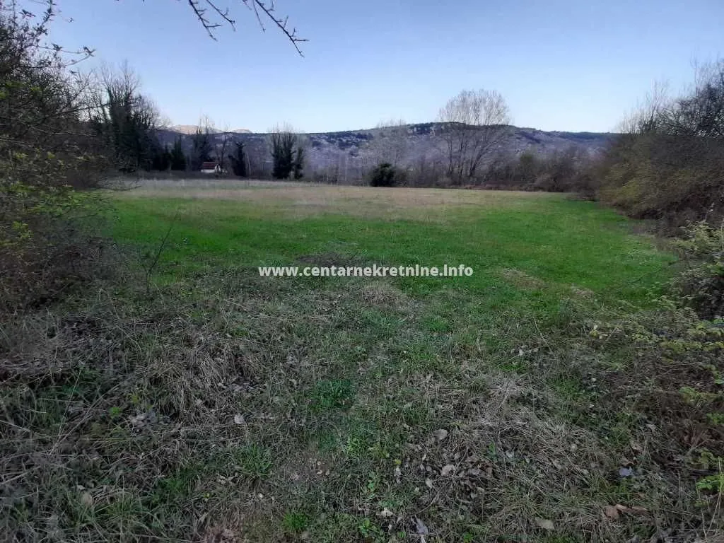 Prodaja, plac, 8318m², Frutak, Danilovgrad