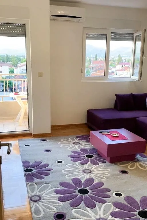 Izdavanje, jednosoban stan, 45m², Stari Aerodrom, Podgorica