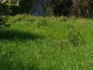 Prodaja, plac, 1550m², Zaljevo, Bar - image 6