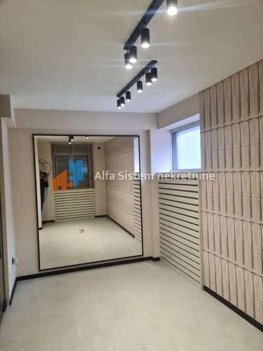 Rent, two bedroom apartment, 50m², Cvijićeva, Palilula Sve Podlokacije