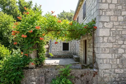 Prodaja, plac, 900m², Dobrota, Kotor - image 13