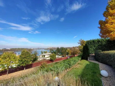 Prodaja, plac, 1300m², Ribnjak, Petrovaradin - image 2