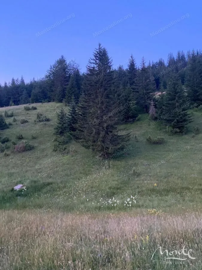 Prodaja, plac, 15531m², Krš, Žabljak