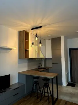Rent, studio apartment, 26m², Dudova Šuma, Subotica - image 5