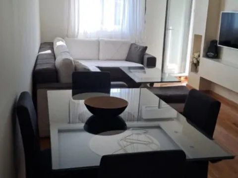 Izdavanje, jednosoban stan, 44m², Zagorič, Podgorica - image 5