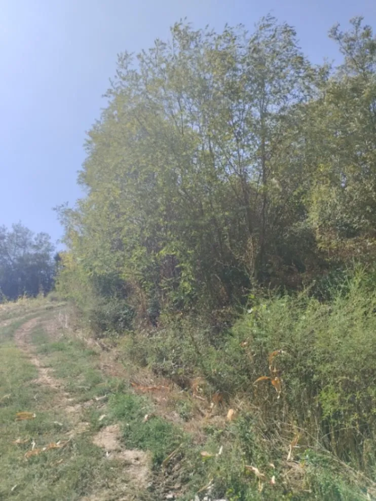 Prodaja, plac, 13532m², Mala Ivanča, Sopot