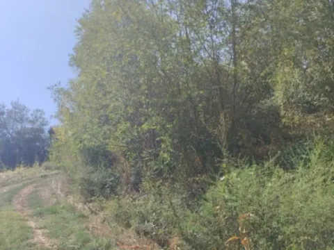 Prodaja, plac, 13532m², Mala Ivanča, Sopot - image 2