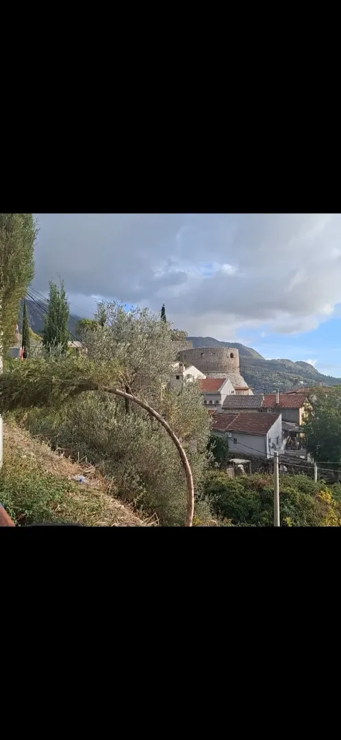 Pogled na stari grad i okolne kuće sa zelenilom.