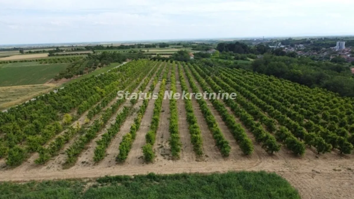 Prodaja, plac, 23783m², Irig, Srbija