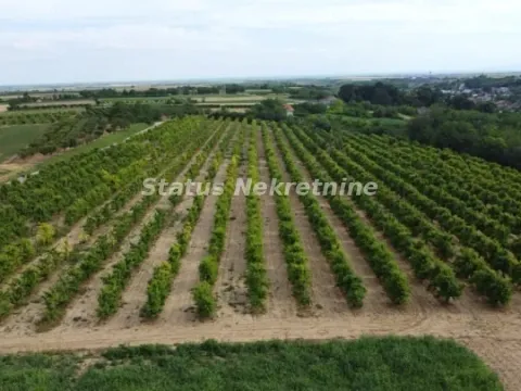 Prodaja, plac, 23783m², Irig, Srbija - image 6