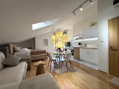 Modern studio apartment with a bedroom, living area, and kitchen in the attic. - image 6