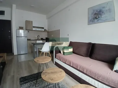 Prodaja, garsonjera, 29m², Aqua park, Jagodina - image 4