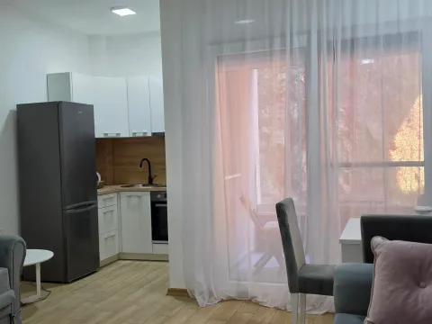 Rent, studio apartment, 31m², Dubovica, Budva - image 6