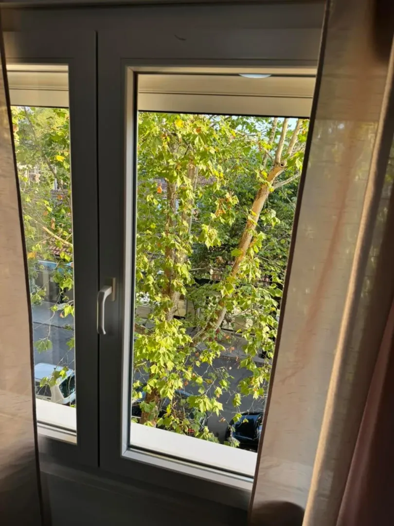 View through the window of green trees and the street.